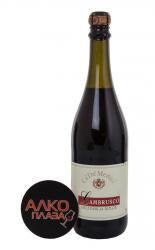 Sparkling Wine Lambrusco Ca De Medici - вино игристое Ламбруско Кубиста Ка де Медичи 0.75 л
