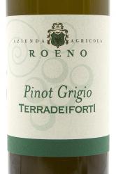 вино Роэно ди Фугатти Пино Гриджио Вальдадидже Террадеифорти 0.75 л белое сухое этикетка