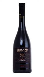 вино Tbilvino Saperavi 0.75 л красное сухое 