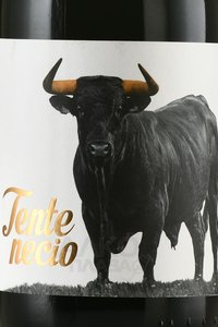Tentenecio - вино Тентенесио 2019 год 0.75 л красное сухое