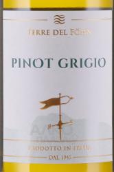 вино Терре дель Фён Пино Гриджио 0.75 л белое сухое этикетка