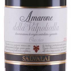 вино Salvalai Amarone Della Valpolicella DOCG 0.75 л этикетка