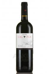 вино Celler Cal Pla Priorat 0.75 л красное сухое