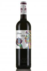 Delampa Seleccion - вино Делампа Селексьон 0.75 л красное сухое