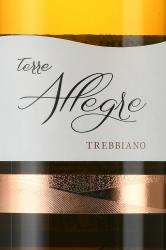 Terre Allegre Trebbiano Puglia - вино Терре Аллегре Треббьяно Апулия 0.75 л белое полусладкое