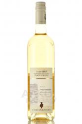 Casata Monfort Trentino Pinot Grigio - вино Казата Монфорт Пино Гриджио 0.75 л белое сухое