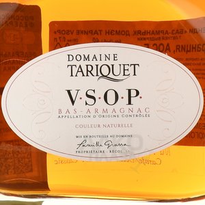 Chateau du Tariquet VSOP 7 years - арманьяк Шато дю Тарике ВСОП 7 лет в п/у декантер 0.7 л