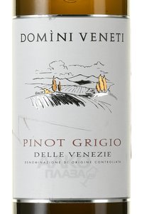 Domini Veneti Pinot Grigio delle Venezie - вино Домини Венети Пино Гриджо делле Венецие 0.75 л белое полусухое