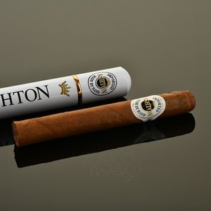 Ashton Classic Monarch Toro Tube - сигары Эштон Классик Монарх Торо Тубос