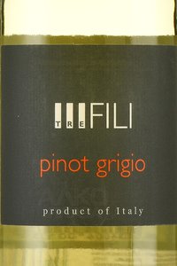 Pinot Grigio Tre Fili IGT Provinciya Pavia - вино Пино Гриджио Тре Фили ИТГ Провинция Павия 0.75 л белое сухое