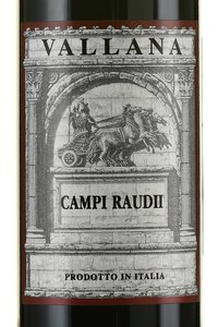 Vallana Campi Raudii - вино Валлана Кампи Рауди 0.75 л красное сухое