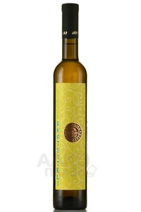 Rkatsiteli Georgian Winemaker - вино Ркацители Джеорджиан Ваинмеикер 2020 год 0.5 л белое