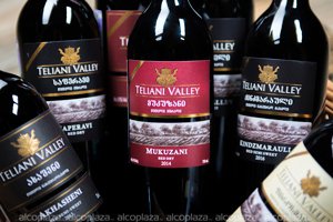Грузинское вино Teliani Valley