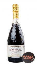 Binelli Lambrusco Rosso Dell Emilia Secco - вино игристое Ламбруско Бинелли Премиум дель Эмилия красное сухое 0.75 л