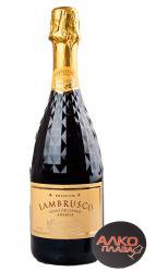 Binelli Lambrusco Rosso Dell Emilia Amabile - вино игристое Ламбруско Бинелли Премиум дель Эмилия 0.75 л