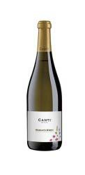 Canti Moscato d`Asti 0.75l вино игристое Канти Москато д`Асти 0.75 л. Canti Moscato d`Asti 0.75l вино игристое Канти Москато д`Асти 0.75 л.
