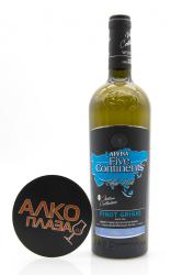 Five Continents Pinot Grigio Alvisa - вино Пять Континентов Пино Гриджо Алвиса 0.75 л белое сухое