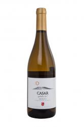 Casar Godello Bierzo - вино Касар Годельо Бьерсо 0.75 л белое сухое