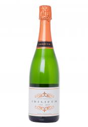 Idilicum Cava Brut - игристое вино Идиликум Кава 0.75 л белое