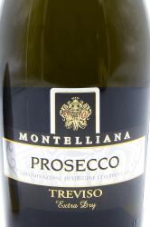 Vigna Nuova Prosecco Spumante Brut Treviso - вино игристое Просекко Монтеллиана Тревизо 0.75 л