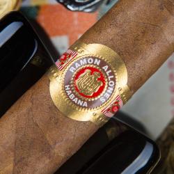 Сигары Ramon Allones Specially Selected