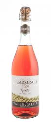 Lambrusco Emilia Valle Calda Rosato - вино игристое Ламбруско Эмилия Валле Кальда Розато 0.75 л розовое полусладкое