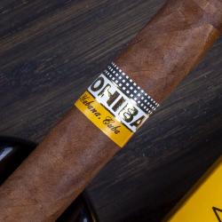 Сигары Cohiba Siglo V 5 шт. в картонной пачке