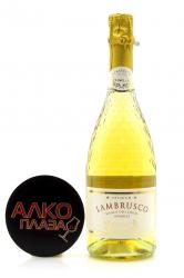 Binelli Lambrusco Bianco Dell Emilia Amabile - вино игристое Ламбруско Бинелли Премиум дель Эмилия 0.75 л