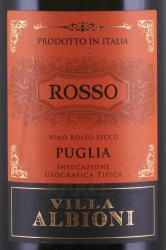 вино Вилла Альбиони Россо Пулиа красное сухое 1.5 л этикетка