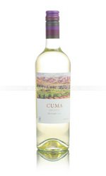 Michel Torino Cuma Organic Torrontes - вино Мишель Торино Кума Органик Торронтес 0.75 л