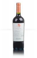 Errazuriz Carmenere Single Vineyard - вино Эразурис Карменер Сингл Виньярд 0.75 л красное сухое