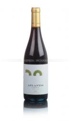 Atlantis Bierzo DO - вино Атлантис Бьерсо ДО 0.75 л красное сухое