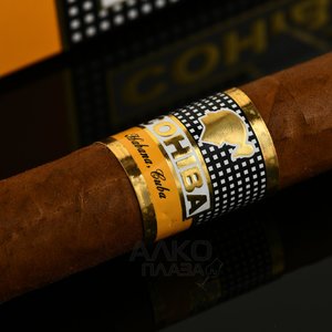 Cohiba Siglo IV - сигары Коиба Сигло IV в карт.упаковке