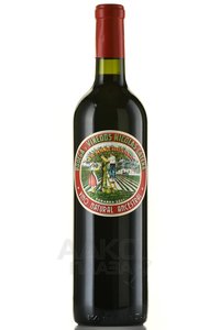 La Marchigiana Bonarda - вино Ла Маркиджана Бонарда 2021 год 0.75л красное сухое