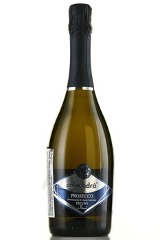 Prosecco Treviso Extra Dry - вино игристое Просекко Тревизо Экстра Драй 2021 год 0.75 л белое сухое