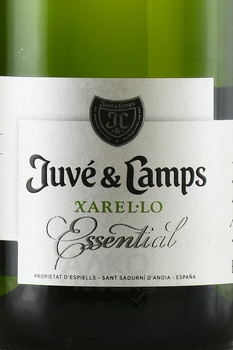 Cava Juve & Camps Essential Xarello Reserva Brut - вино игристое Кава Жюве и Кампс Эссеншиал Чарелло Резерва Брют 2017 год 0.75 л белое брют
