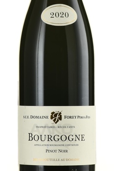 Bourgogne Domaine Forey Pere et Fils Pinot Noir - вино Бургонь Домэн Форе Пэр э Фис Пино Нуар 2020 год 0.75 л красное сухое