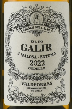 Val do Galir Godello Valdeorras - вино Вальдеоррас Валь до Галир Годельо 2022 год 0.75 л белое сухое