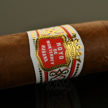 Hoyo de Monterrey Petit Robusto - сигары Ойо де Монтеррей Петит Робусто