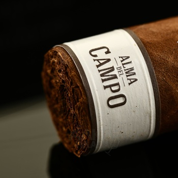 Plasencia Alma Del Campo Madrono Gordo - сигары Плаценсия Альма Дель Кампо Мадроно Гордо