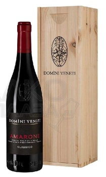 Domini Veneti Amarone della Valpolicella Classico - вино Амароне делла Вальполичелла Классико 2020 год 0.75 л красное полусухое в д/у