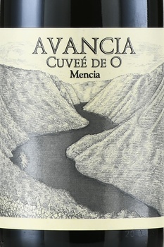 Avancia Cuvee de O Valdeorras DO - вино Авантиа Кюве де О Вальдеоррас ДО 2017 год 0.75 л красное сухое