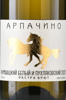 Вино игристое Арпачино Кумшацкий белый и Пухляковский 2021 год 0.75 л белое экстра брют