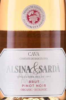 Alsina & Sarda Cava Brut Pinot Noir - игристое вино Альсина и Сарда Кава Брют Пино Нуар 2022 год 0.75 л розовое брют