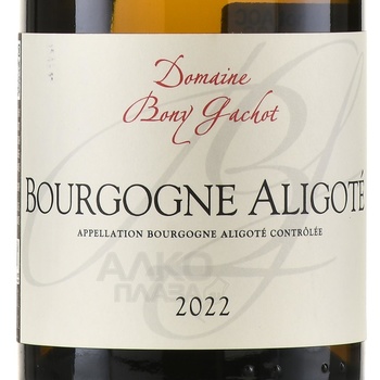 Domaine Bony Bourgogne Aligote AOC - вино Домен Бони Бургонь Алиготе АОС 2022 год 0.75 л белое сухое