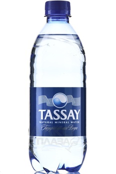 Вода Тассай 0.5 л газированная пластик Казахстан 