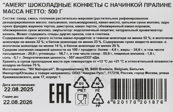 Шоколадные конфеты Амери 500 гр с начинкой Пралине в ж/у