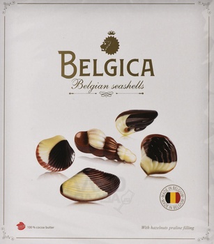 Шоколадные конфеты Бельгия с начинкой пралине 190 г