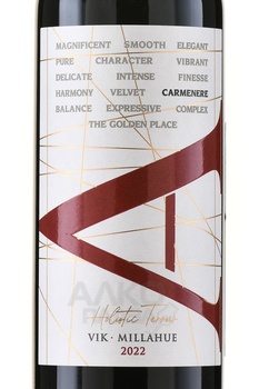Vik A Carmenere - вино Вик А Карменер 0.75 л красное сухое