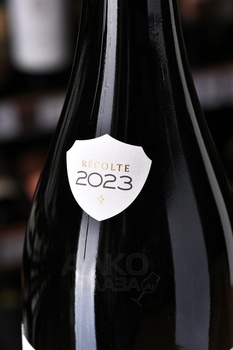 Albert Bichot Coteaux Bourguignons AOC - вино Альбер Бишо Кото Бургиньон 0.75 л красное сухое